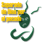 salvacion.gif